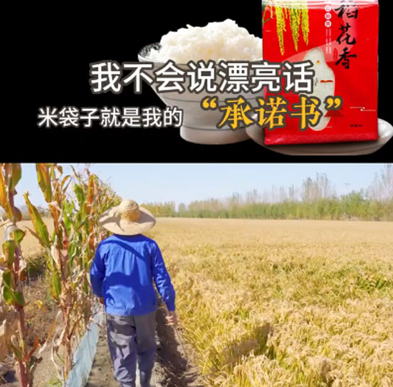 成誠大米